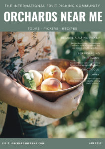 orchards-neara-me-fruit-picking-and-food-tours-magazine